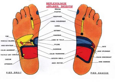 Premiere image de fredo-feet